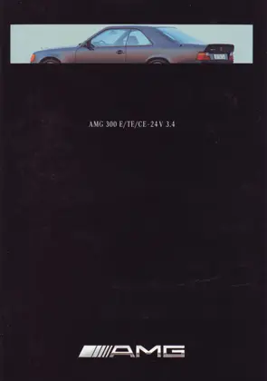 AMG 300E TE CE 24V 3,4